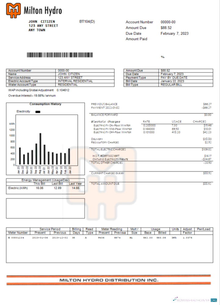 download download Canada Milton Hydro electricity bill Word and PDF template PDF template PDF template